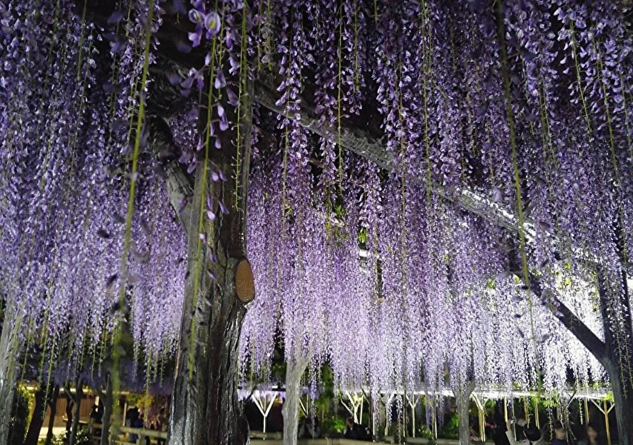 Holiday home Kamei House Tokyo