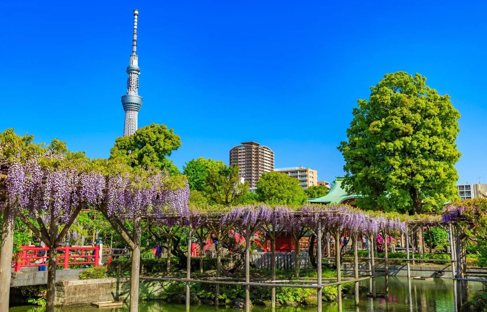 Kamei House Tokyo Japan