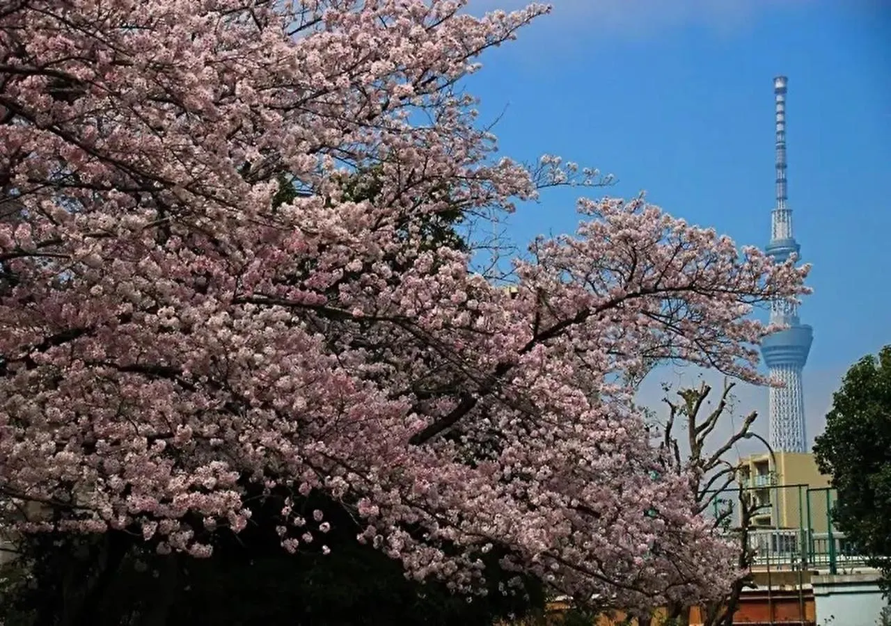 Holiday home Kamei House Tokyo Japan